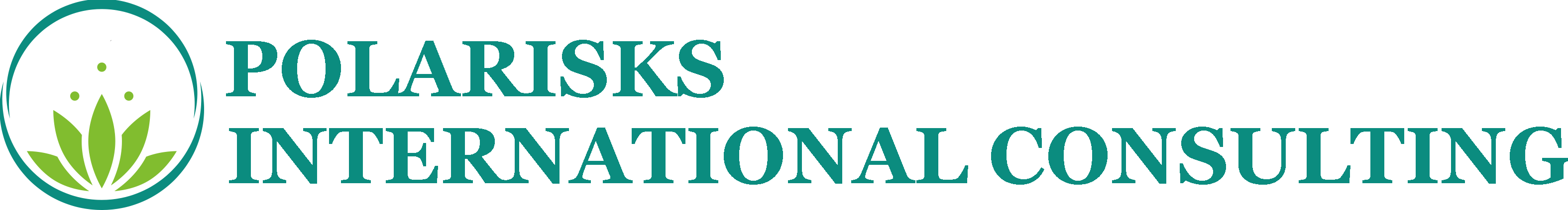 Polarisks International Consulting